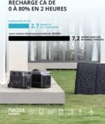 EcoFlow Delta Pro draagbaar energiestation - Afbeelding 4