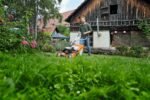 STIHL RM 655 V - Afbeelding 2