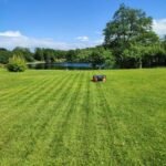 Maaicapaciteit 1.500+ m² - Afbeelding 3