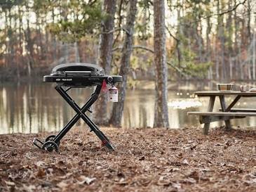we.jpg Weber Traveler Compact Gasbarbecue - Afbeelding 1